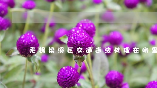 无锡梁溪区交通违法处理在哪里 无锡梁溪区交通违法处理在哪里