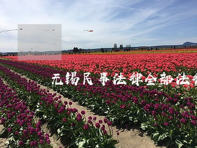 无锡民事法律全部法律咨询