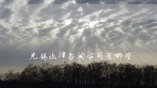 无锡法律咨询公司有哪些 无锡法律咨询公司有哪些
