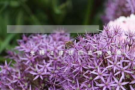 无锡法律援助咨询免费
