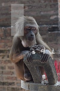 无锡法律援助案件补贴 无锡法律援助案件补贴