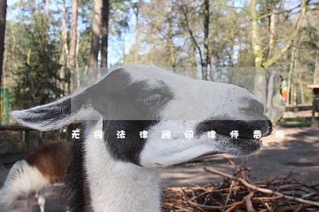 无锡法律顾问律师费用 无锡法律顾问律师费用