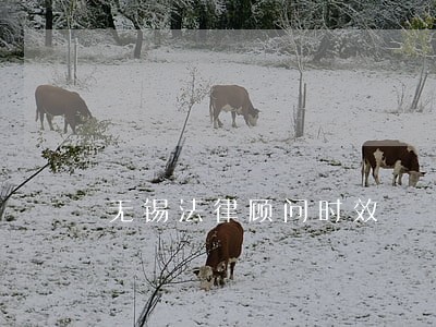 无锡法律顾问时效 无锡法律顾问时效