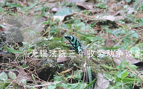 无锡法院三年收劳动争议案近万件 无锡法院三年收劳动争议案近万件