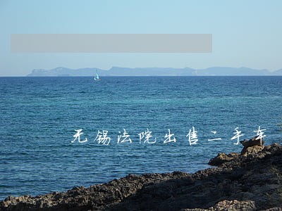 无锡法院出售二手车