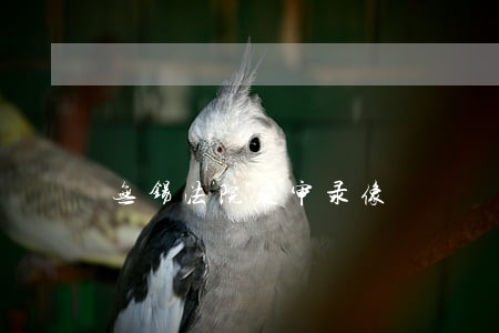 无锡法院庭审录像 无锡法院庭审录像