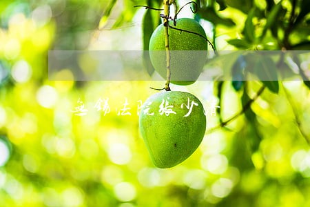 无锡法院张少清
