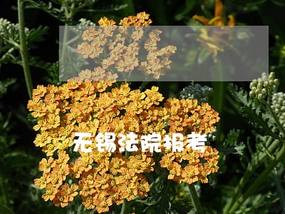 无锡法院报考 无锡法院报考