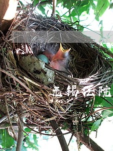 无锡法院破产 无锡法院破产