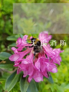 无锡消防安全法规 无锡消防安全法规
