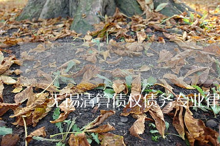 无锡清算债权债务专业律师 无锡清算债权债务专业律师