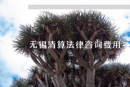 无锡清算法律咨询费用 无锡清算法律咨询费用