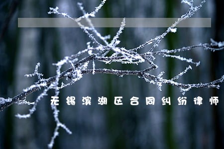无锡滨湖区合同纠纷律师诉讼 无锡滨湖区合同纠纷律师诉讼