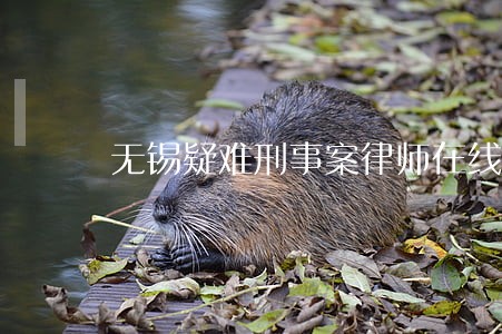无锡疑难刑事案律师在线咨询 无锡疑难刑事案律师在线咨询
