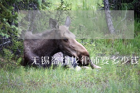 无锡盗窃找律师要多少钱