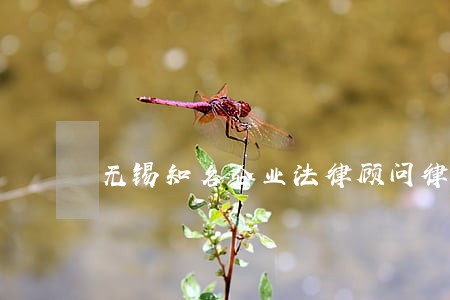 无锡知名企业法律顾问律师价格 无锡知名企业法律顾问律师价格