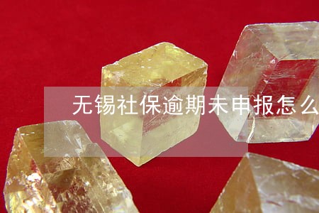 无锡社保逾期未申报怎么办 无锡社保逾期未申报怎么办