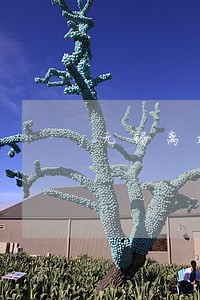 无锡离婚律师多少钱 无锡离婚律师多少钱