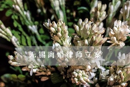 无锡离婚律师立案 无锡离婚律师立案