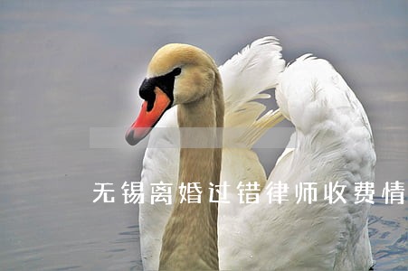 无锡离婚过错律师收费情况 无锡离婚过错律师收费情况