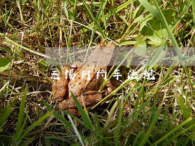 无锡网约车法规