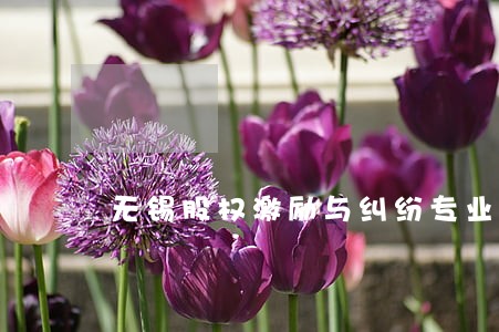 无锡股权激励与纠纷专业律师团队