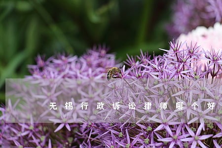 无锡行政诉讼律师哪个好 无锡行政诉讼律师哪个好