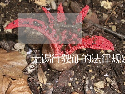 无锡行驶证的法律规定 无锡行驶证的法律规定