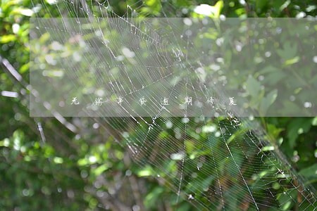 无锡车贷逾期修复 无锡车贷逾期修复