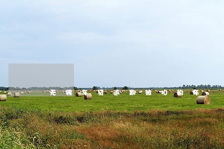 无锡车贷逾期被扣的车 无锡车贷逾期被扣的车
