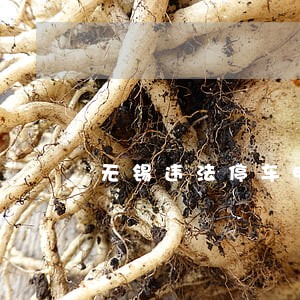 无锡违法停车电话号码 无锡违法停车电话号码