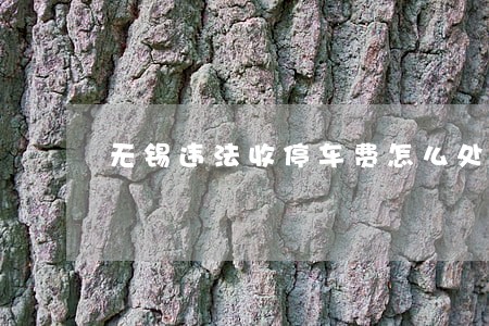 无锡违法收停车费怎么处理 无锡违法收停车费怎么处理