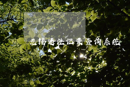 无锡违法记录查询系统