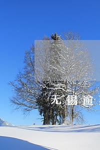 无锡逾期20几次可以贷款吗