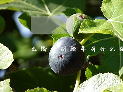 无锡逾期验车有什么规定 无锡逾期验车有什么规定