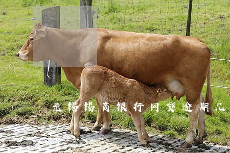 无锡锡商银行网贷逾期几小时 无锡锡商银行网贷逾期几小时