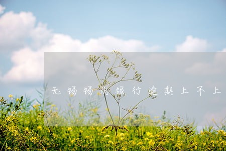 无锡锡商银行逾期上不上征信