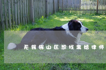 无锡锡山区想找离婚律师 无锡锡山区想找离婚律师