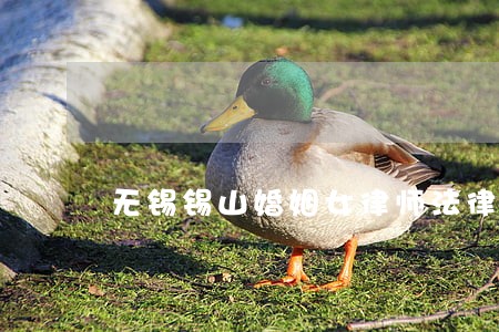 无锡锡山婚姻女律师法律咨询