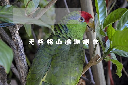 无锡锡山逾期借款 无锡锡山逾期借款