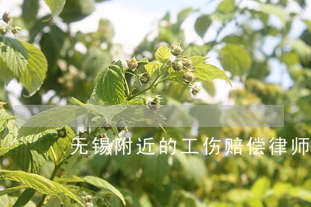 无锡附近的工伤赔偿律师 无锡附近的工伤赔偿律师