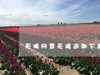 无限网黑无限逾期下款口子 无限网黑无限逾期下款口子