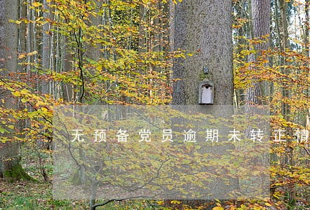无预备党员逾期未转正情况说明 无预备党员逾期未转正情况说明