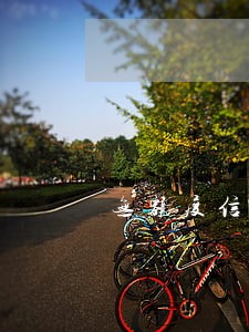 无额度信用卡突然欠费逾期 无额度信用卡突然欠费逾期