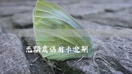 无额度信用卡逾期 无额度信用卡逾期