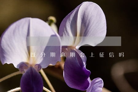 既分期逾期会上征信吗