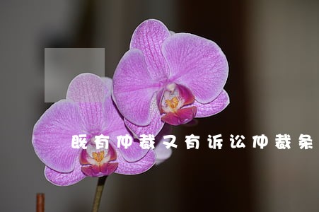 既有仲裁又有诉讼仲裁条款 既有仲裁又有诉讼仲裁条款