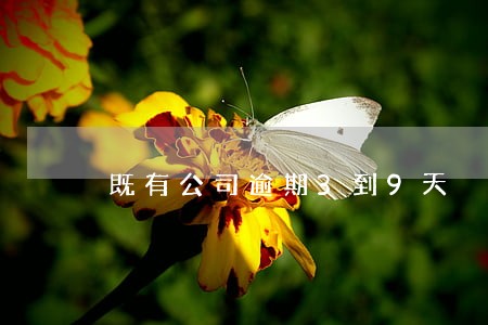 既有公司逾期3到9天 既有公司逾期3到9天