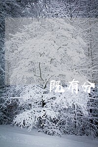 既有分期只还本金行吗