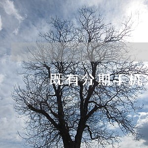 既有分期手机分期逾期会立案吗 既有分期手机分期逾期会立案吗